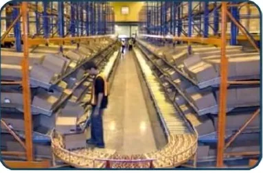 Material-handling line inside a warehouse